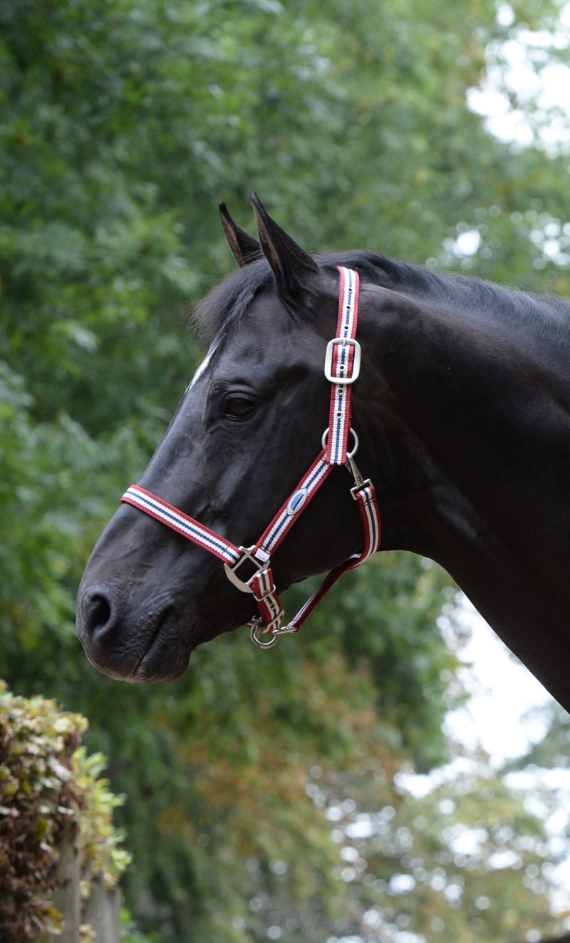 Weatherbeeta Coordinate Halter