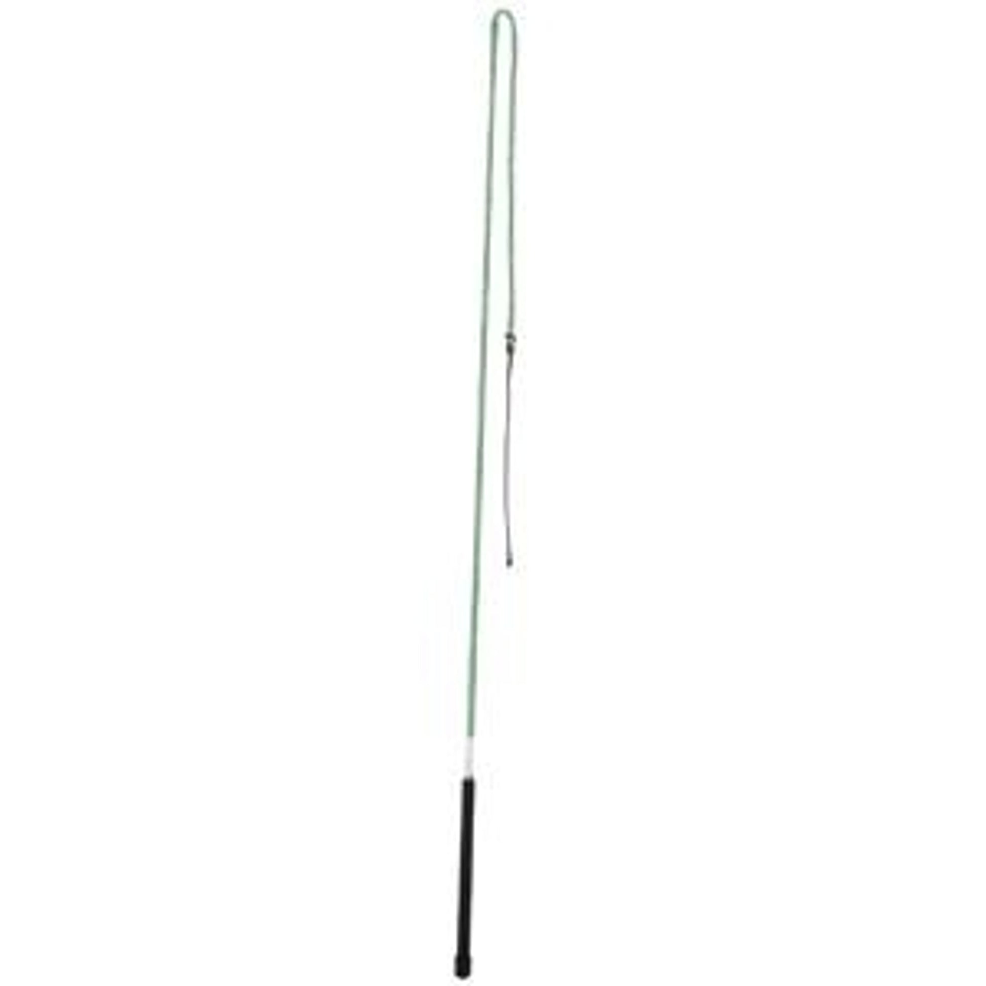 655100_green.jpg