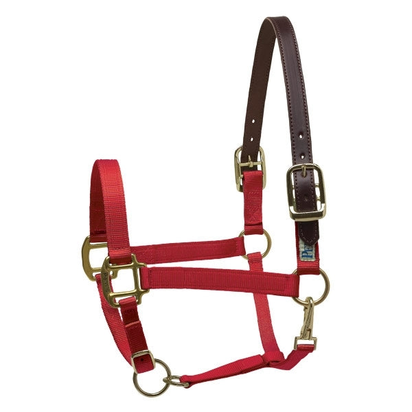 Perris Ribbon Safety Halter Horse Purple/LLama