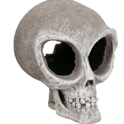 957590.jpg