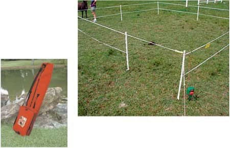 Fi-Shock Portable Paddock