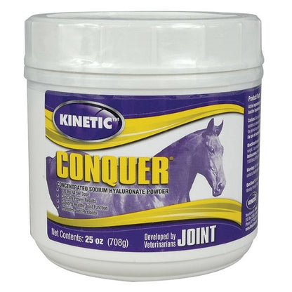 Kinetic Technologies Conquer