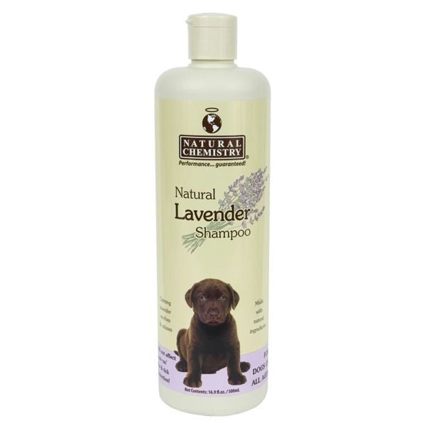 Natural Lavender Shampoo 16.9 oz