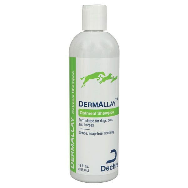 DermAllay Shampoo 12 oz