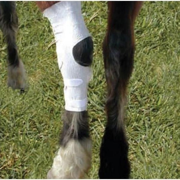 Tapeless Dressing System - Knee