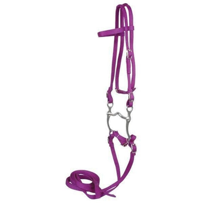 Western Bridle With Reins 10337 Black