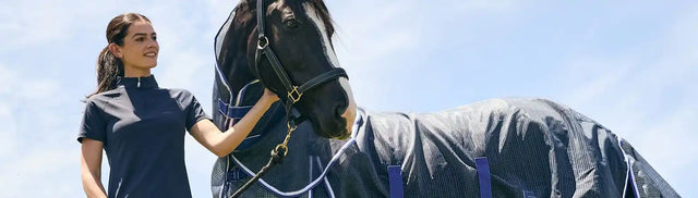 Woman petting a horse wearing a gray blanket against a clear blue sky