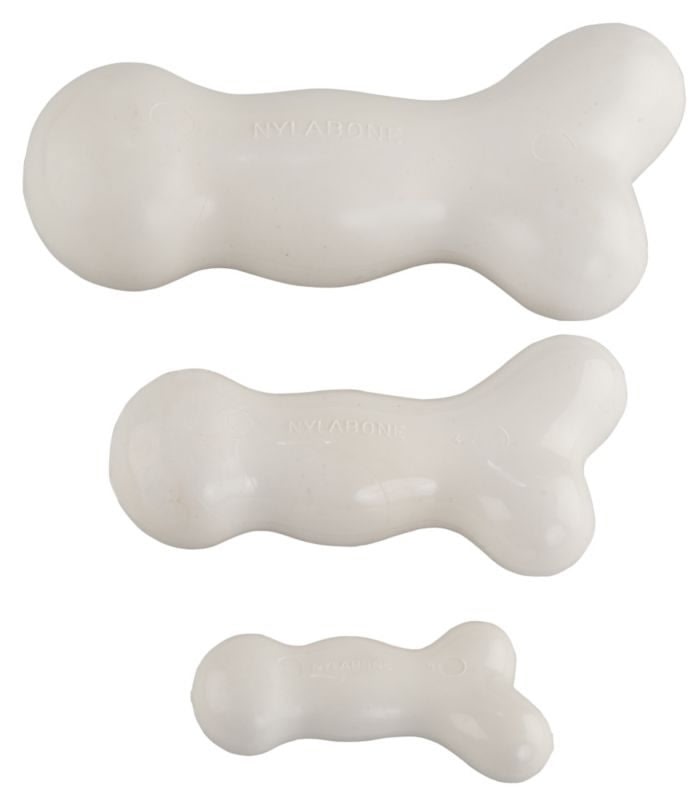 Nylabone Dura Chew Galileo Dog Chew