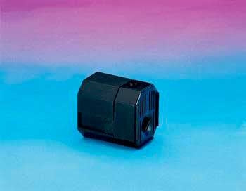 T1000E154.jpg