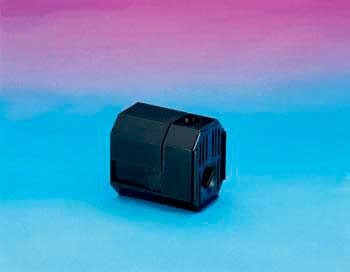 T1000E154_236915.jpg