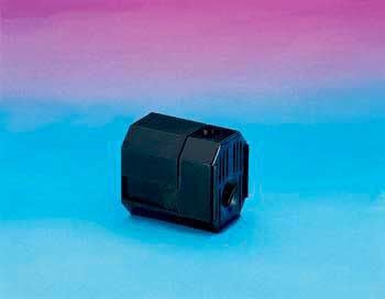 T1000E154_99.jpg