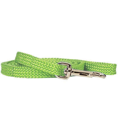 Rainbow Nylon Puppy Lead