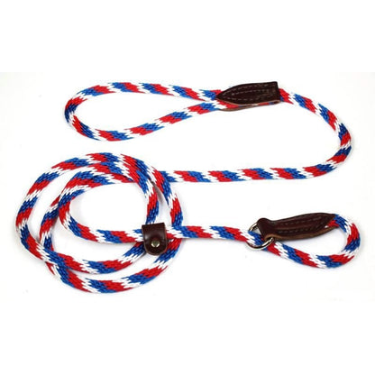 Slip Lead for Dogs