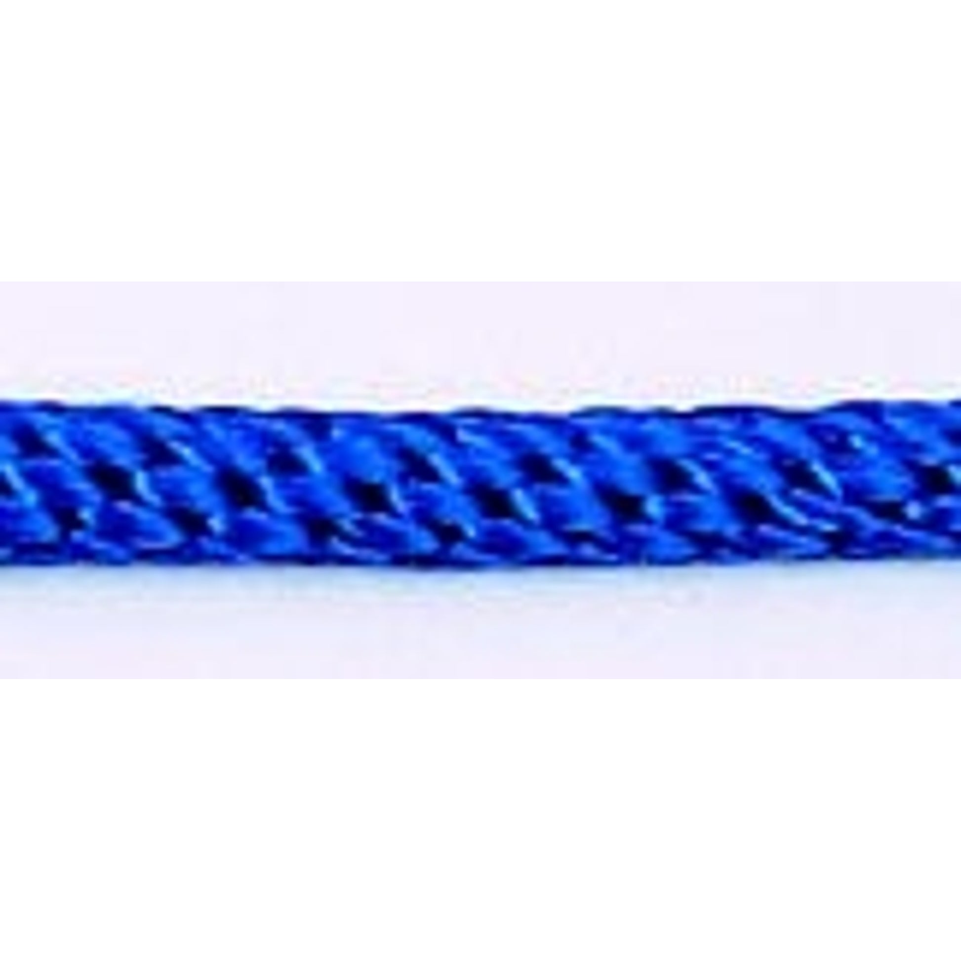 Slip Lead for Dogs