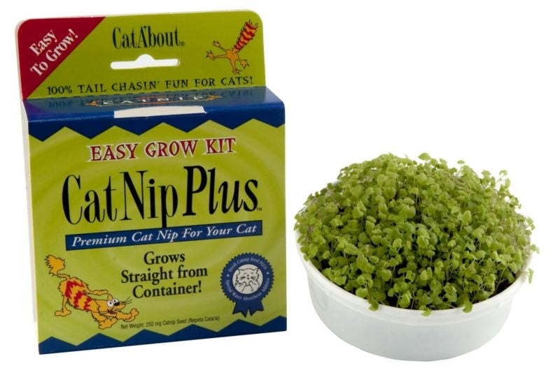 Miracle Care CatNip Plus