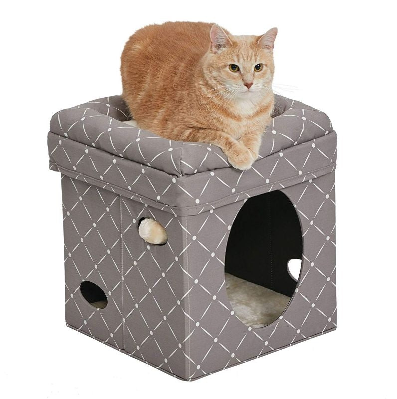 Midwest Curious Cat Cube