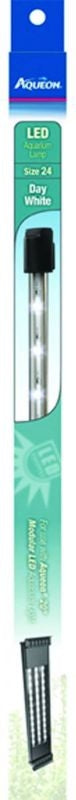 T404488_413088_01.jpg