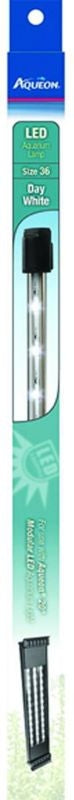 T404488_413127_01.jpg