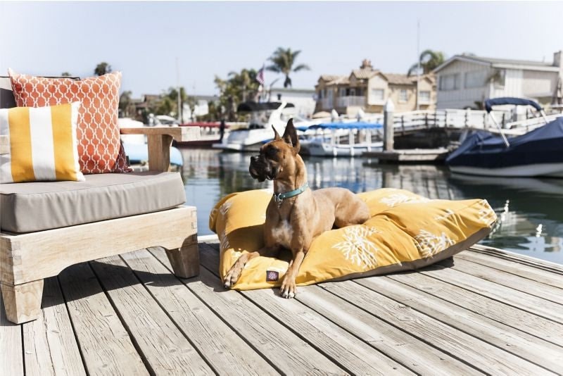 Majestic Outdoor Yellow Coral Rectangle Pet Bed