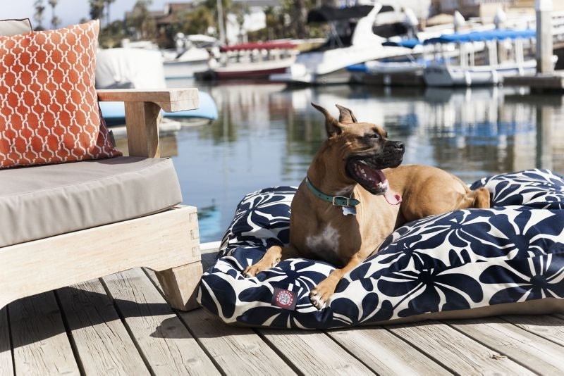 Outdoor Navy Blue Plantation Rectangle Pet Bed