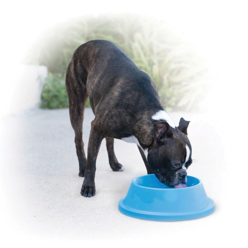 KH Mfg Coolin Pet Bowl