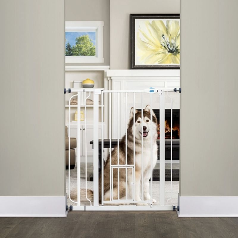 Extra Tall Walk Thru Gate with Pet Door