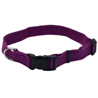 Personalized Soy Dog Collar