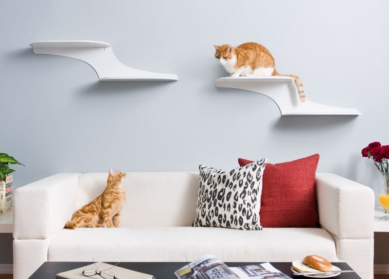 Refined Feline Cat Clouds Cat Shelf