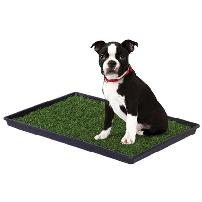 The Tinkle Turf Indoor Dog Potty