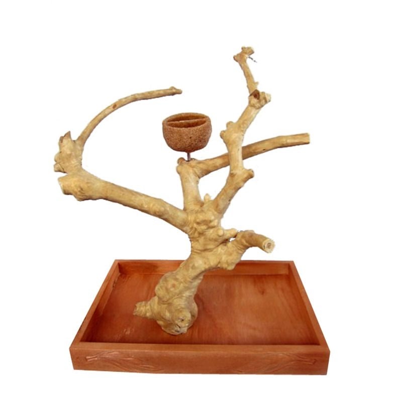 Java Wood Table Top Bird Play Stand
