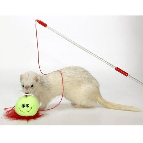 Marshall Ferret Interactive Teaser Toy