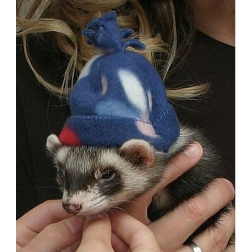 Marshall Ferret Winter Cap