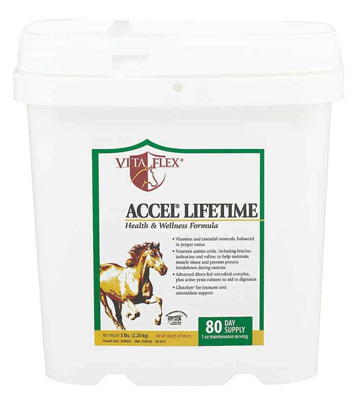 Vita Flex Accel Lifetime