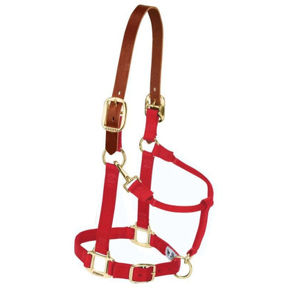 Weaver Org Breakaway Adj Halter