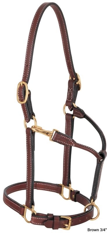 Weaver 1in Leather Track Halter