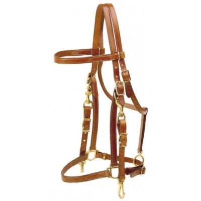 Tory Halter Trail Bridle