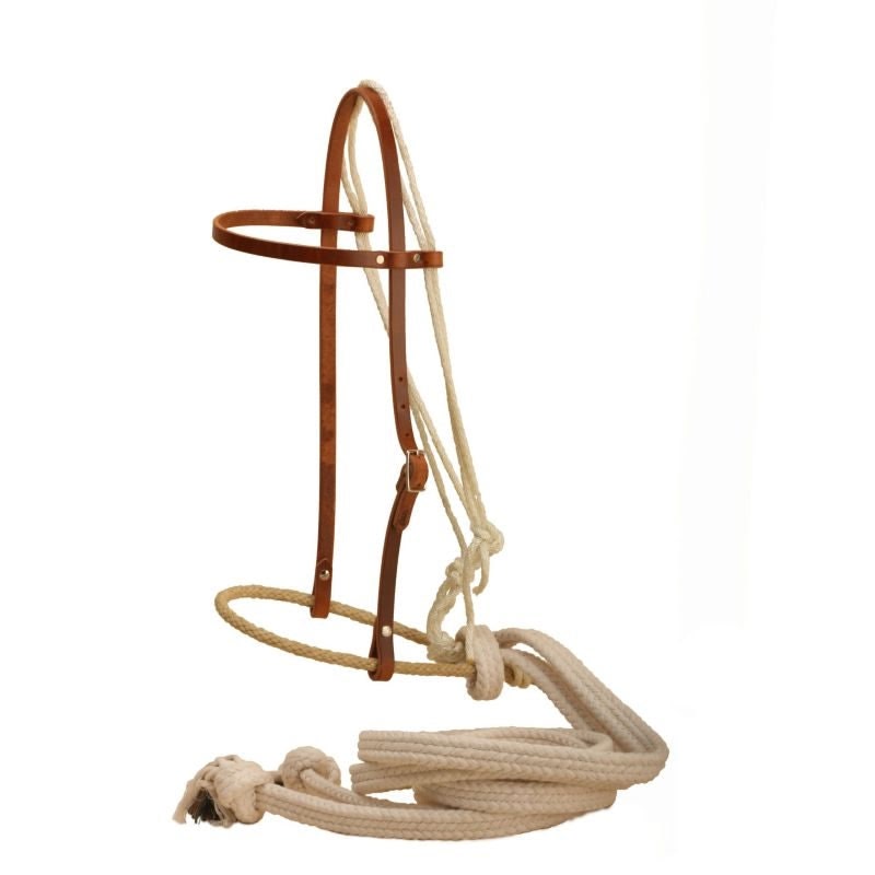Tory Harness Leather Training Bosal with Reins