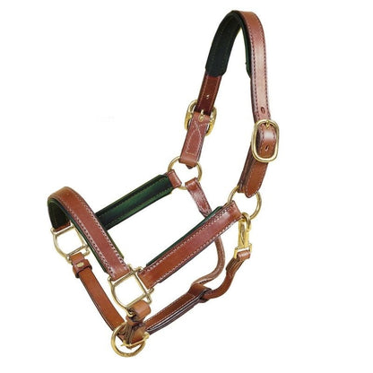 Tory Padded Leather Halter