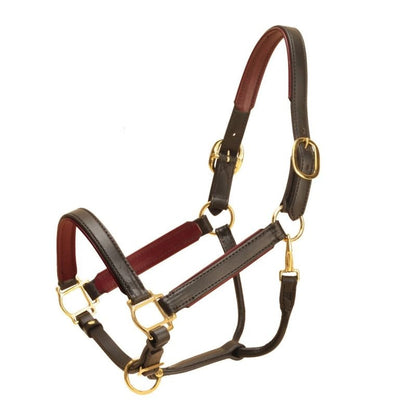 Tory Padded Leather Halter