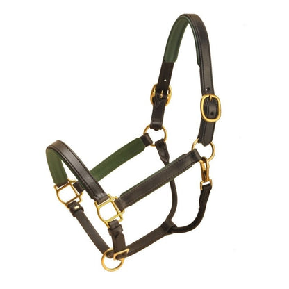 Tory Padded Leather Halter