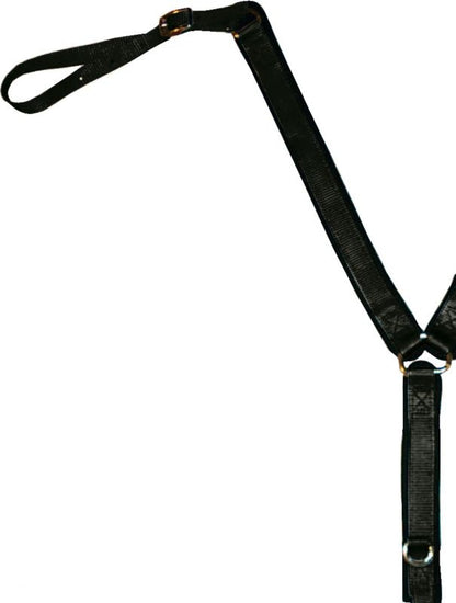 TE001677_225967.jpg