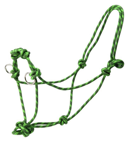 TE002335.jpg