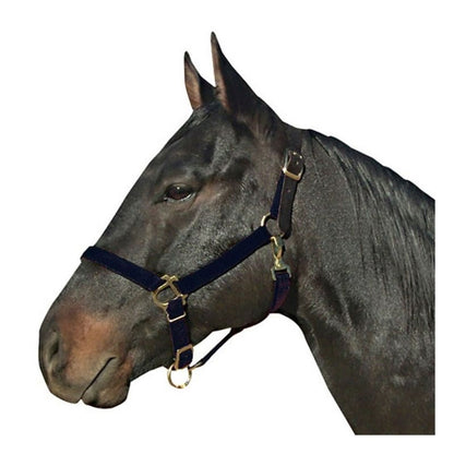 Leather Crown Nylon Breakaway Halter