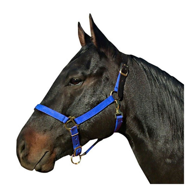 Leather Crown Nylon Breakaway Halter
