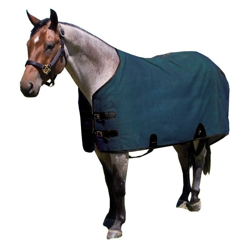 Mustang Canvas Turnout Blanket