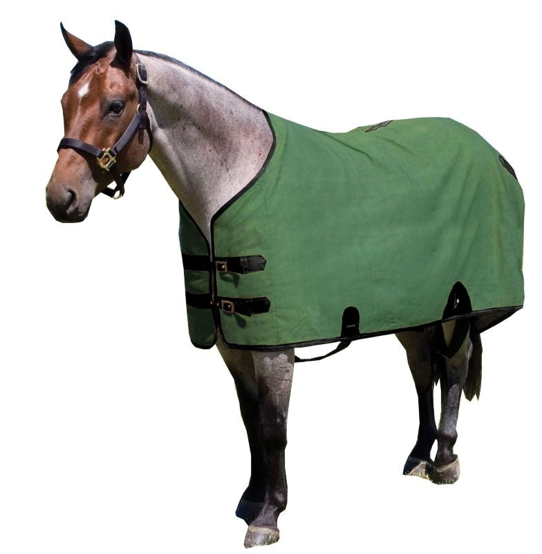 Mustang Canvas Turnout Blanket
