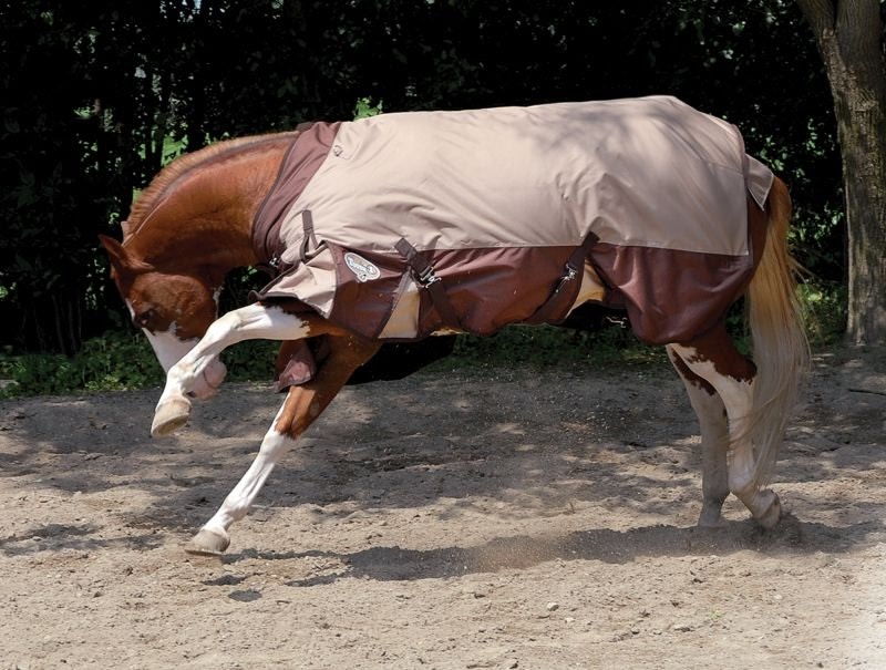 Tough1 2100 Denier Turnout Blanket