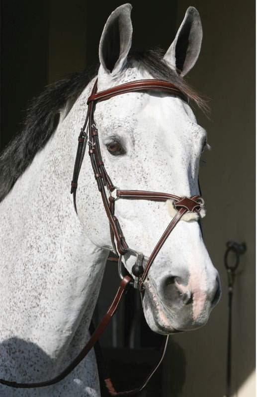 HDR Pro Mono Crown Figure 8 Bridle
