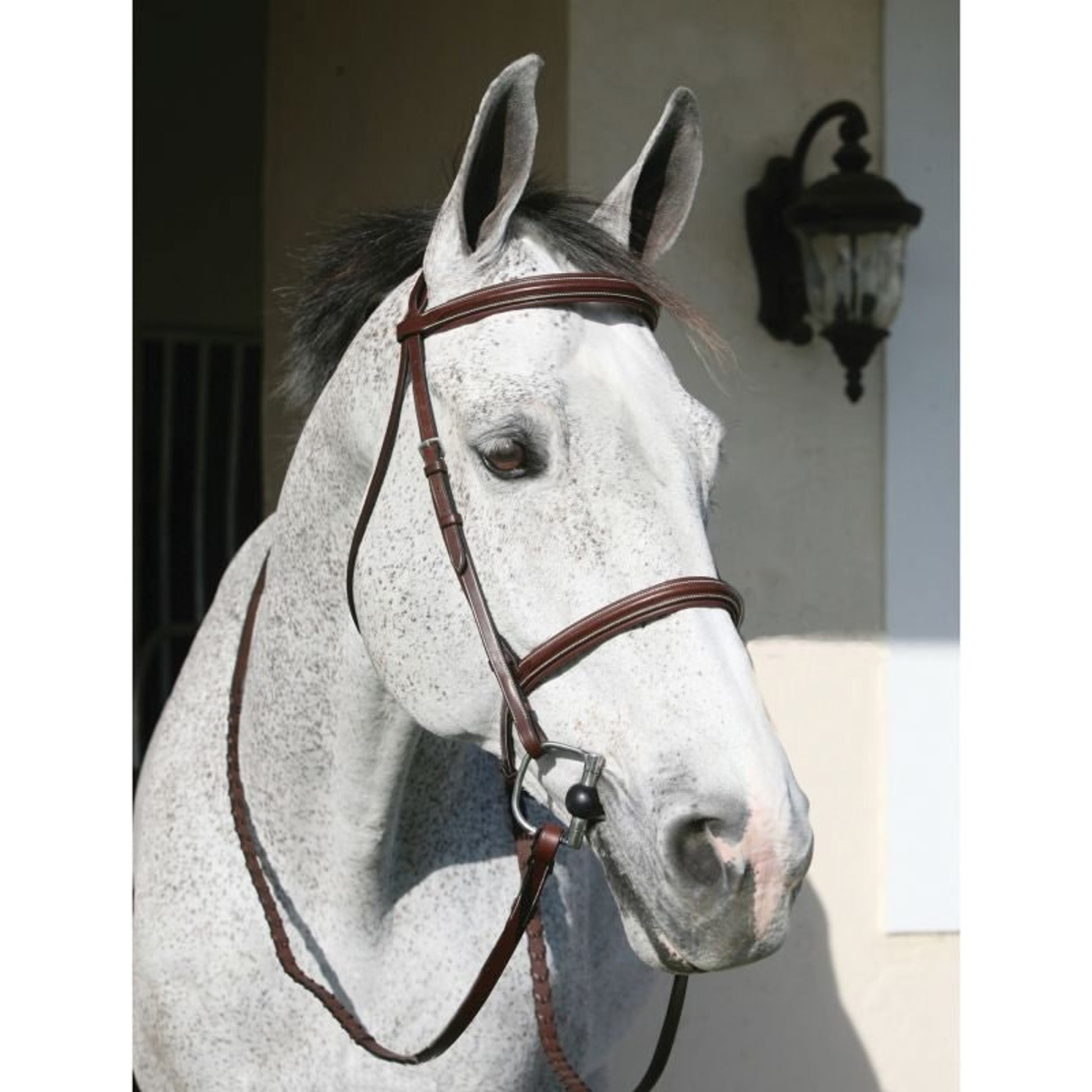 HDR Pro Padded Bridle with Anti Press