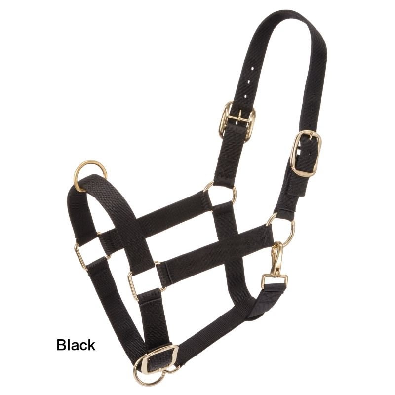 Tough1 Draft 3-Ply Nylon Halter with Snap